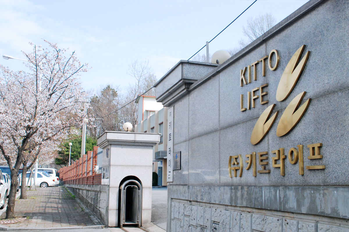 ȸ������